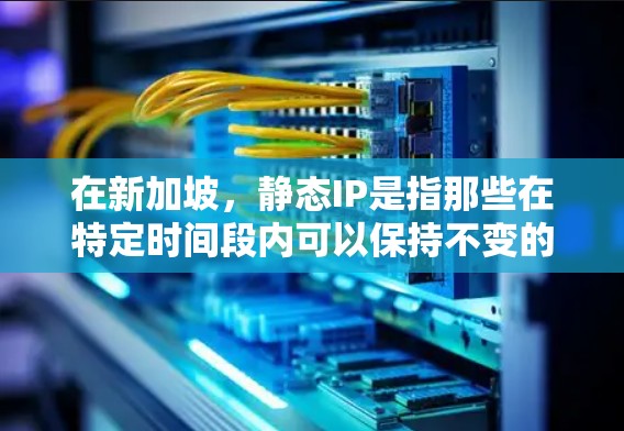 在新加坡，静态IP是指那些在特定时间段内可以保持不变的IP地址。新加坡作为全球最大的城市和金融中心，有丰富的网络安全资源和政策支持，因此可能需要使用静态IP来管理内部网络和访问控制