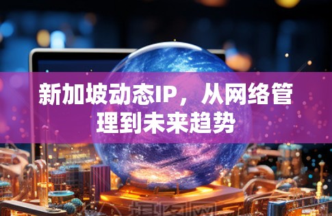 新加坡动态IP，从网络管理到未来趋势