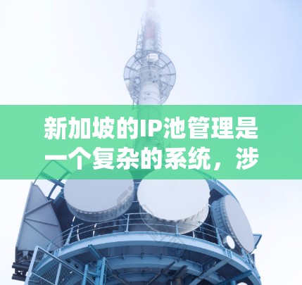 新加坡的IP池管理是一个复杂的系统，涉及到金融、网络安全、法律等多个领域。以下是关于新加坡IP池的一些关键信息