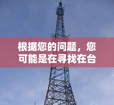 根据您的问题，您可能是在寻找在台湾地区提供互联网服务的代理，例如VPN、互联网接入等。以下是一些可能的解释和建议