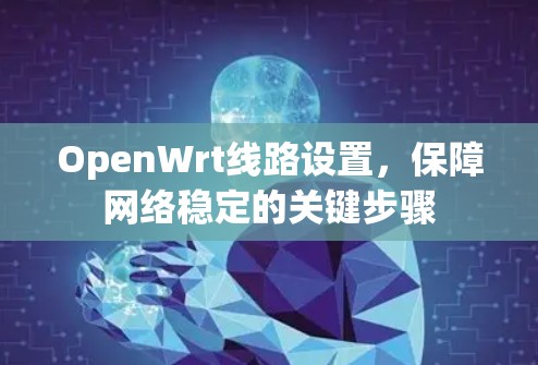 OpenWrt线路设置，保障网络稳定的关键步骤