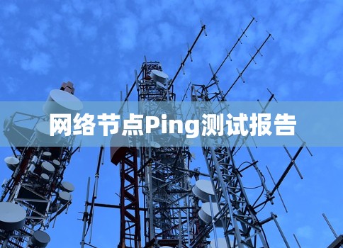 网络节点Ping测试报告