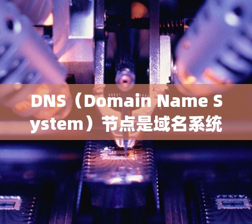 DNS（Domain Name System）节点是域名系统中的关键组成部分，负责为网站、服务等提供域名对应的URL信息。以下是一个详细且结构化的解释