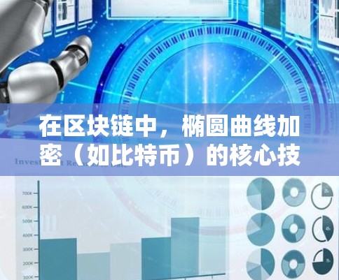 在区块链中，椭圆曲线加密（如比特币）的核心技术依赖于高效的椭圆曲线运算。加速器网络是通过硬件加速这些运算，显著提升网络性能。以下是关于椭圆曲线加密和加速器网络设置的关键信息