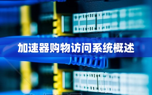 加速器购物访问系统概述