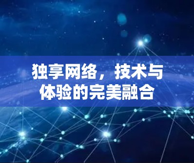 独享网络，技术与体验的完美融合