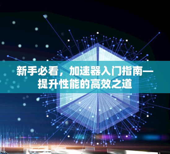 新手必看，加速器入门指南—提升性能的高效之道