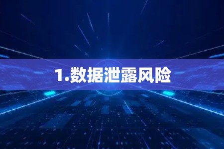 1.数据泄露风险