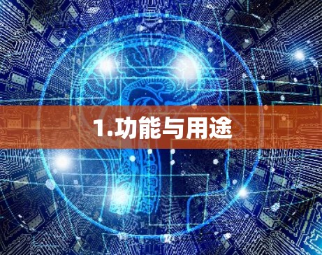 1.功能与用途