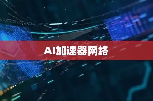 AI加速器网络