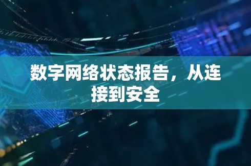 数字网络状态报告，从连接到安全