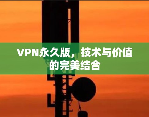 VPN永久版，技术与价值的完美结合