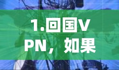 1.回国VPN，如果您指的是回国后使用VPN服务，这通常是为了保护个人隐私或在海外工作期间通过VPN获取国内资源。如果您有具体问题或需要帮助了解如何使用国内VPN服务，我将尽力提供帮助