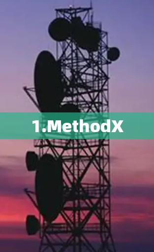 1.MethodX