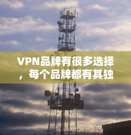 VPN品牌有很多选择，每个品牌都有其独特的特点和适用性。以下是一些常见的VPN品牌及其特点，供你参考