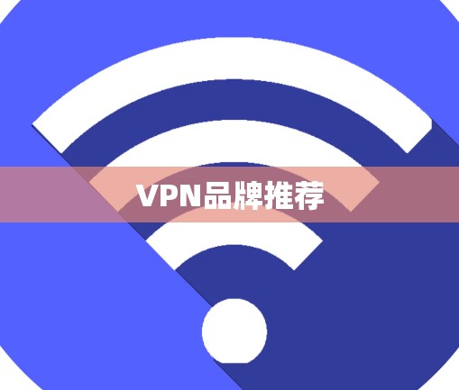 VPN品牌推荐