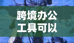跨境办公工具可以帮助您在不同国家或地区之间高效协作。以下是一些适合跨境办公的工具