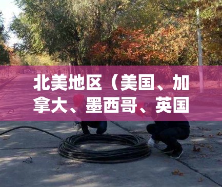 北美地区（美国、加拿大、墨西哥、英国和澳大利亚）的VPN（网络视频 paused network，即网络VPN）主要由以下公司运营