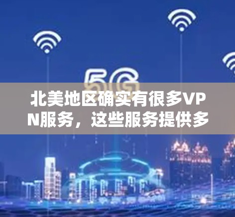 北美地区确实有很多VPN服务，这些服务提供多种功能，如加密下载、网络加速、直播观看等。以下是一些常见的VPN服务和使用方法，帮助你更好地了解和选择VPN服务