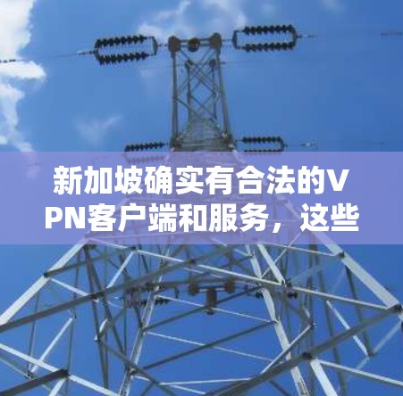 新加坡确实有合法的VPN客户端和服务，这些平台通常基于新加坡的法律法规和国际VPN协议。以下是一些新加坡的合法VPN应用和服务