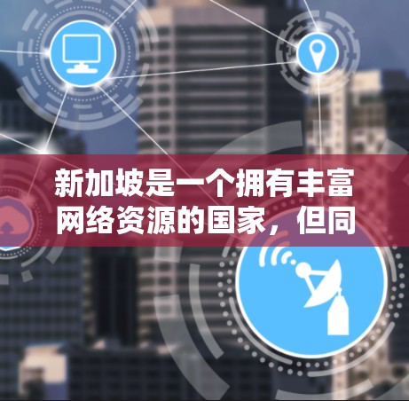 新加坡是一个拥有丰富网络资源的国家，但同时也严格遵守网络安全法（新加坡网络安全法）和相关法规。新加坡的VPN服务器通常需要符合新加坡的法律法规，以确保服务的安全性、隐私性和合规性