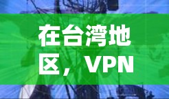 在台湾地区，VPN服务确实存在，但需要注意以下几点