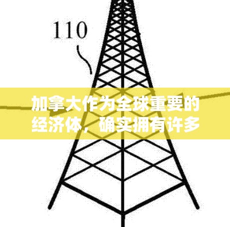 加拿大作为全球重要的经济体，确实拥有许多VPN应用，这些应用可以帮助用户访问外部网络资源，如视频、文件、新闻等。以下是加拿大一些主要的VPN客户端及其特点