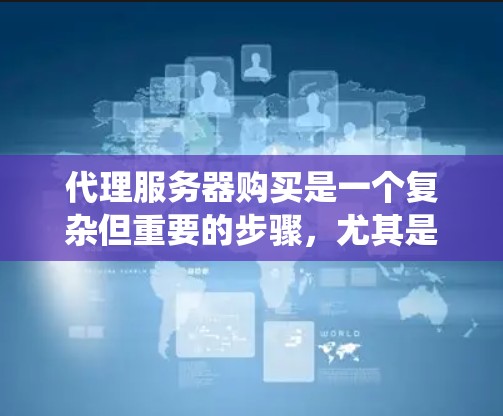 代理服务器购买是一个复杂但重要的步骤，尤其是在技术需求和风险评估方面，需要谨慎对待。以下是一个有条理的总结，帮助您系统地进行代理服务器购买