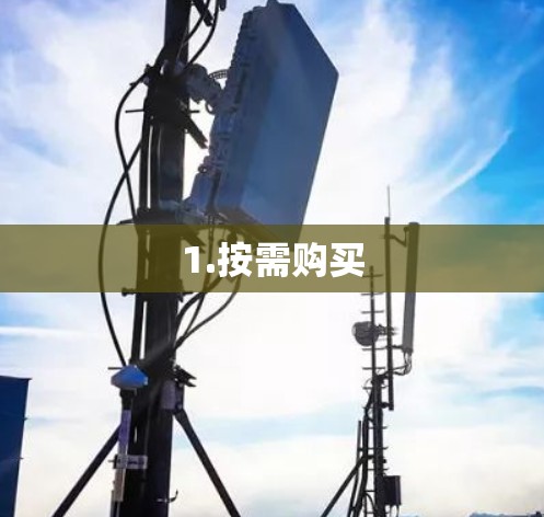 1.按需购买