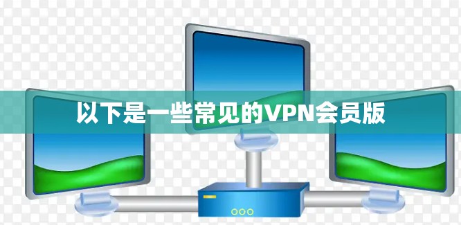以下是一些常见的VPN会员版