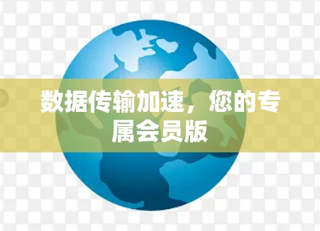 数据传输加速，您的专属会员版