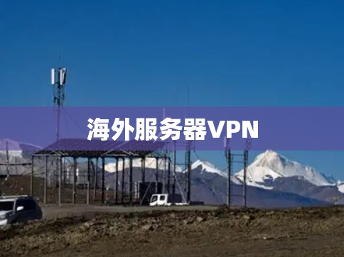 海外服务器VPN