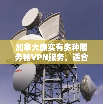 加拿大确实有多种服务器VPN服务，适合个人或企业使用。以下是一些常见的加拿大服务器VPN服务，供你参考