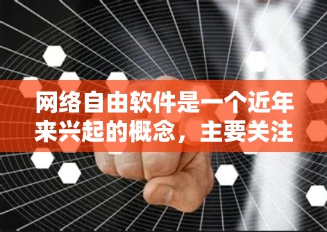 网络自由软件是一个近年来兴起的概念，主要关注软件的开源性质、开放性和可维护性，以及用户在不同环境和平台上的自由运行。以下是对该概念的详细分析和总结