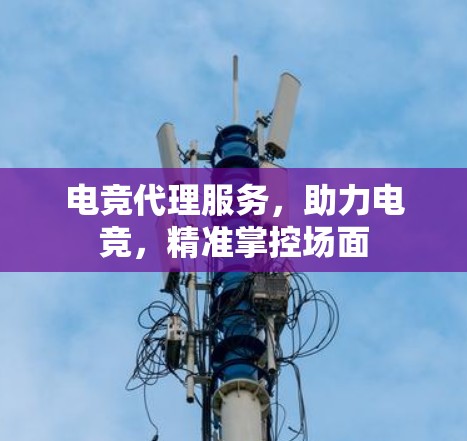 电竞代理服务，助力电竞，精准掌控场面