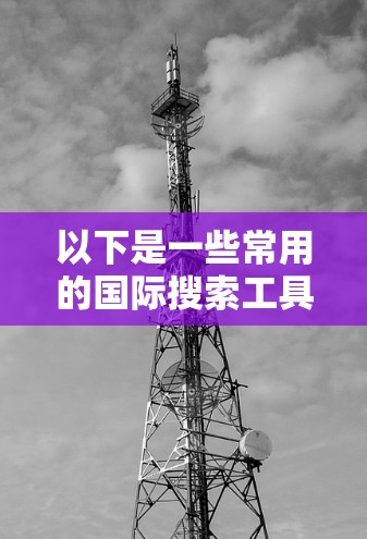 以下是一些常用的国际搜索工具