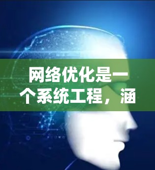 网络优化是一个系统工程，涵盖了多个方面，从SEO到用户体验，再到技术优化。以下是系统化的指南，帮助您有效进行网络优化