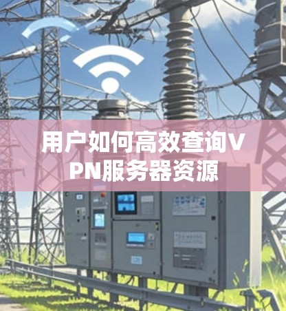 用户如何高效查询VPN服务器资源