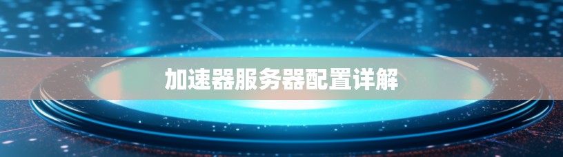 加速器服务器配置详解