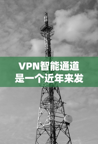 VPN智能通道是一个近年来发展起来的网络技术领域，旨在通过智能化手段优化和管理VPN服务。以下是对该领域的详细介绍