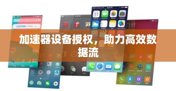 加速器设备授权，助力高效数据流