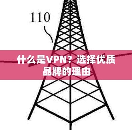 什么是VPN？选择优质品牌的理由