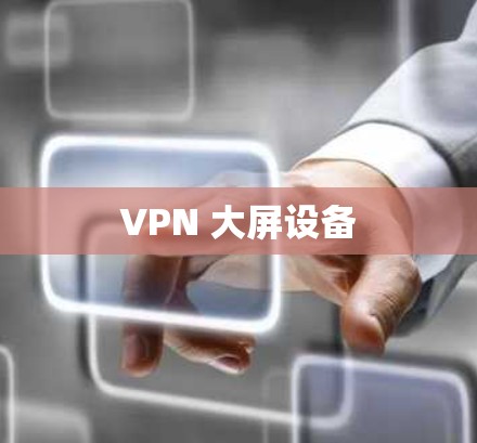 VPN 大屏设备