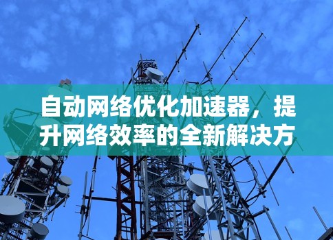 自动网络优化加速器，提升网络效率的全新解决方案