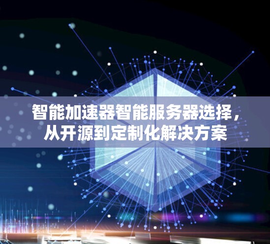 智能加速器智能服务器选择，从开源到定制化解决方案