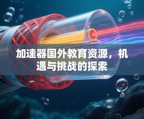 加速器国外教育资源，机遇与挑战的探索