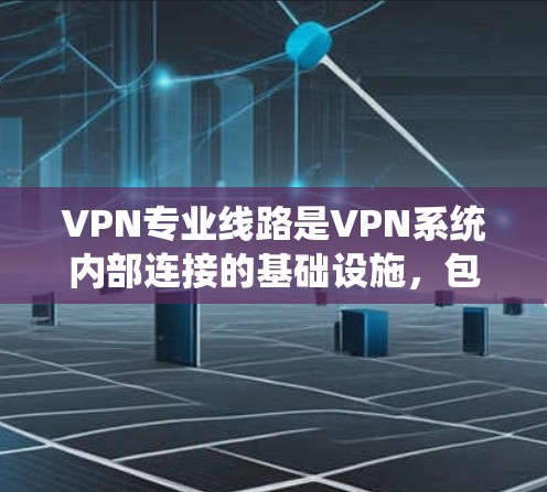 VPN专业线路是VPN系统内部连接的基础设施，包括物理连接、网络层和数据包层的连接方式。专业线路的稳定性和可靠性直接影响到VPN的使用体验。以下是对VPN专业线路的详细说明