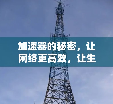 加速器的秘密，让网络更高效，让生活更便捷
