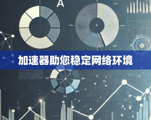 加速器助您稳定网络环境