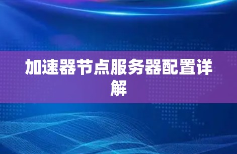 加速器节点服务器配置详解